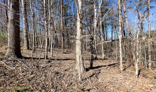 Photo #11 of SOLD property in Off Price Hairston Lane, Martinsville, VA 19.4 acres