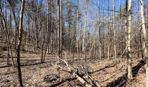 Photo #13 of SOLD property in Off Price Hairston Lane, Martinsville, VA 19.4 acres