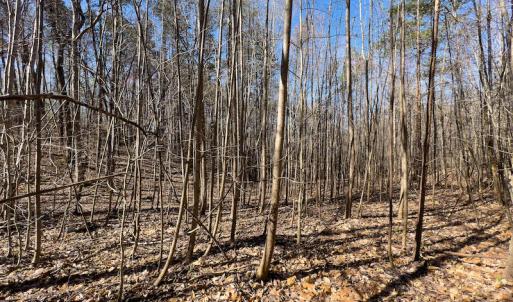 Photo #14 of SOLD property in Off Price Hairston Lane, Martinsville, VA 19.4 acres