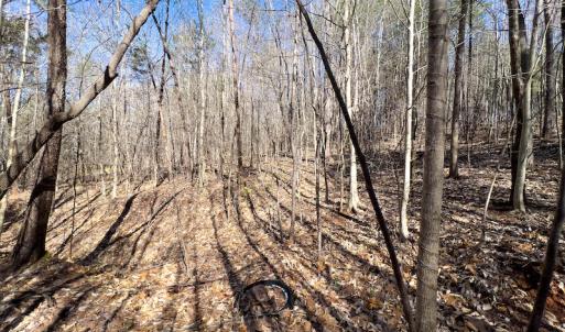 Photo #15 of SOLD property in Off Price Hairston Lane, Martinsville, VA 19.4 acres
