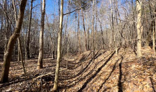 Photo #16 of SOLD property in Off Price Hairston Lane, Martinsville, VA 19.4 acres