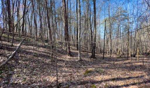 Photo #17 of SOLD property in Off Price Hairston Lane, Martinsville, VA 19.4 acres