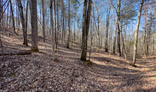 Photo #18 of SOLD property in Off Price Hairston Lane, Martinsville, VA 19.4 acres