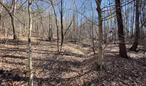 Photo #19 of SOLD property in Off Price Hairston Lane, Martinsville, VA 19.4 acres