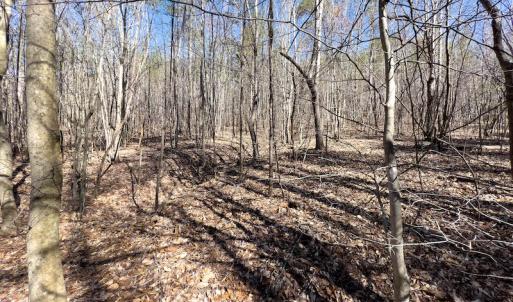 Photo #20 of SOLD property in Off Price Hairston Lane, Martinsville, VA 19.4 acres