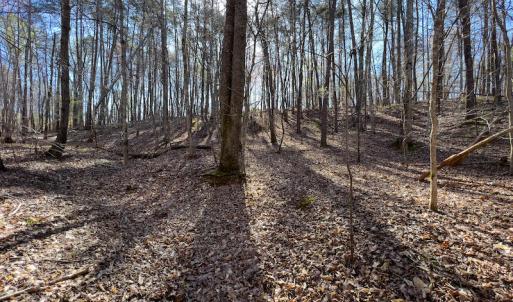 Photo #21 of SOLD property in Off Price Hairston Lane, Martinsville, VA 19.4 acres