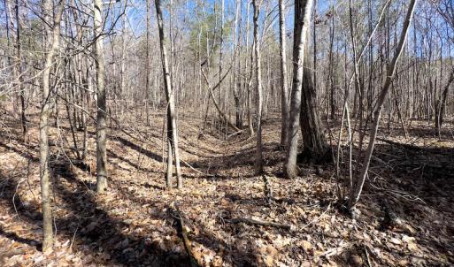 Photo #22 of SOLD property in Off Price Hairston Lane, Martinsville, VA 19.4 acres