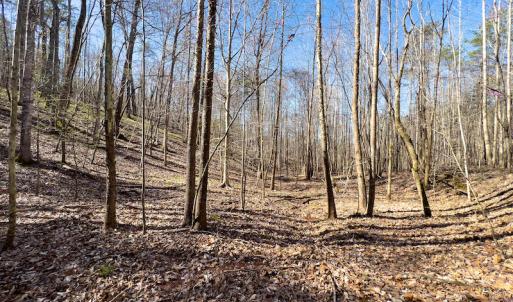 Photo #23 of SOLD property in Off Price Hairston Lane, Martinsville, VA 19.4 acres