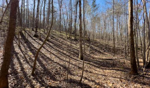 Photo #24 of SOLD property in Off Price Hairston Lane, Martinsville, VA 19.4 acres
