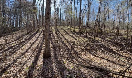 Photo #25 of SOLD property in Off Price Hairston Lane, Martinsville, VA 19.4 acres