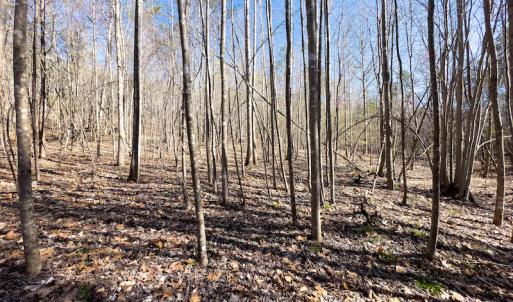 Photo #26 of SOLD property in Off Price Hairston Lane, Martinsville, VA 19.4 acres