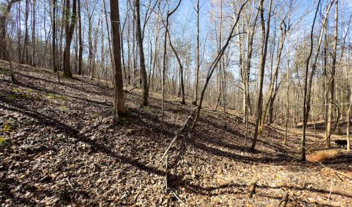 Photo #27 of SOLD property in Off Price Hairston Lane, Martinsville, VA 19.4 acres