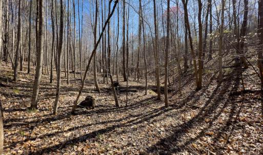 Photo #28 of SOLD property in Off Price Hairston Lane, Martinsville, VA 19.4 acres