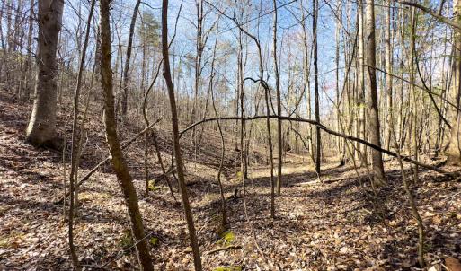 Photo #29 of SOLD property in Off Price Hairston Lane, Martinsville, VA 19.4 acres
