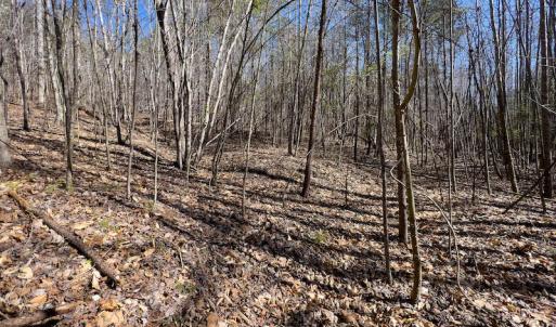 Photo #30 of SOLD property in Off Price Hairston Lane, Martinsville, VA 19.4 acres