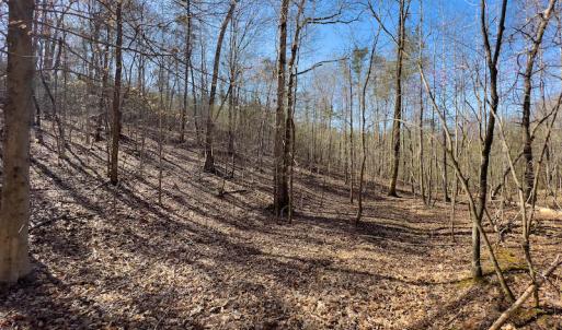 Photo #31 of SOLD property in Off Price Hairston Lane, Martinsville, VA 19.4 acres