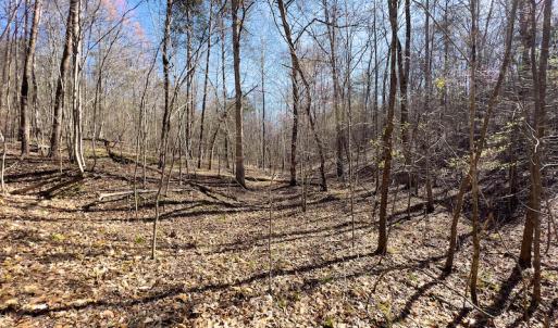Photo #32 of SOLD property in Off Price Hairston Lane, Martinsville, VA 19.4 acres