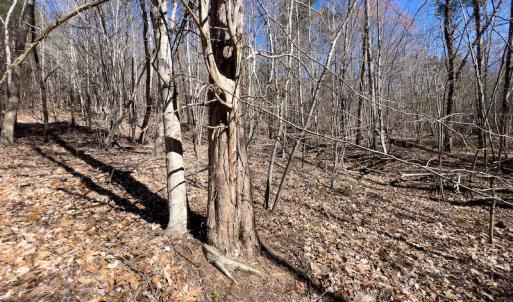 Photo #33 of SOLD property in Off Price Hairston Lane, Martinsville, VA 19.4 acres
