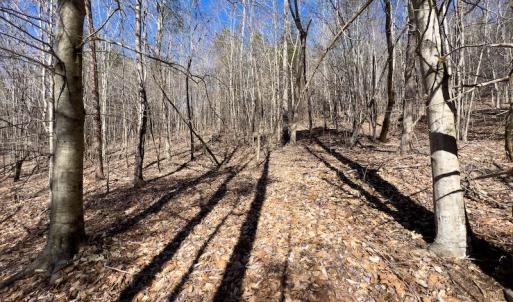 Photo #34 of SOLD property in Off Price Hairston Lane, Martinsville, VA 19.4 acres