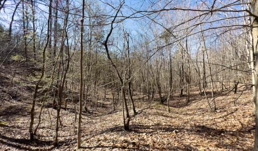 Photo #35 of SOLD property in Off Price Hairston Lane, Martinsville, VA 19.4 acres