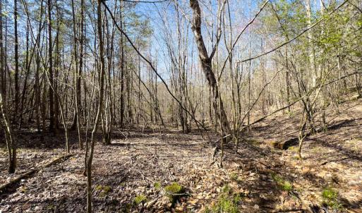 Photo #36 of SOLD property in Off Price Hairston Lane, Martinsville, VA 19.4 acres