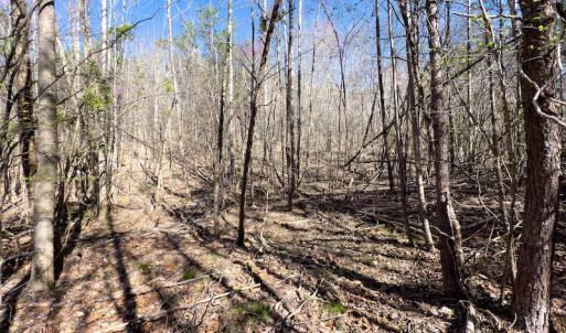 Photo #37 of SOLD property in Off Price Hairston Lane, Martinsville, VA 19.4 acres