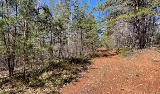 Photo #42 of SOLD property in Off Price Hairston Lane, Martinsville, VA 19.4 acres