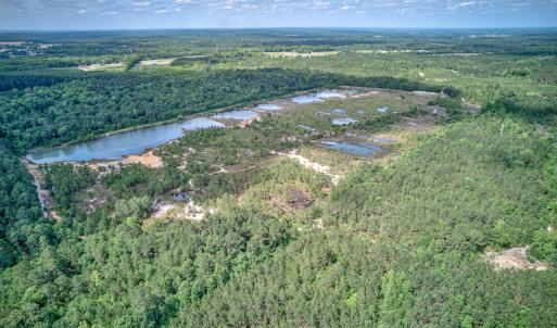 Photo #10 of 1554 Josey Williams Road , Erwin, NC 57.4 acres