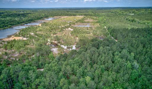 Photo #11 of 1554 Josey Williams Road , Erwin, NC 57.4 acres