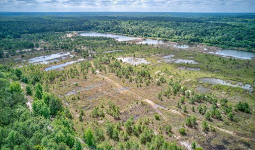 Photo #12 of 1554 Josey Williams Road , Erwin, NC 57.4 acres