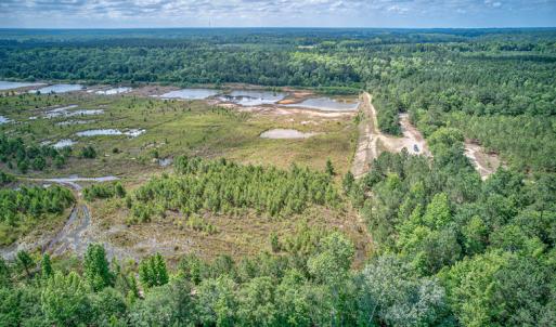 Photo #13 of 1554 Josey Williams Road , Erwin, NC 57.4 acres