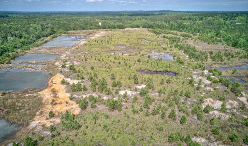 Photo #16 of 1554 Josey Williams Road , Erwin, NC 57.4 acres