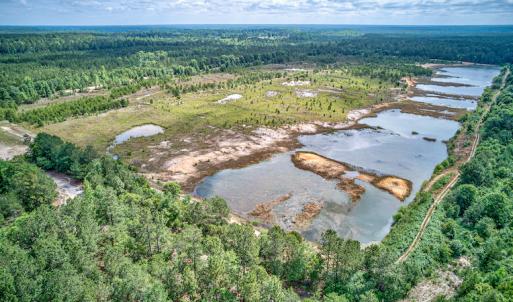 Photo #17 of 1554 Josey Williams Road , Erwin, NC 57.4 acres