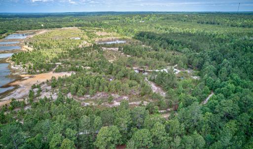 Photo #21 of 1554 Josey Williams Road , Erwin, NC 57.4 acres