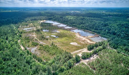 Photo #23 of 1554 Josey Williams Road , Erwin, NC 57.4 acres