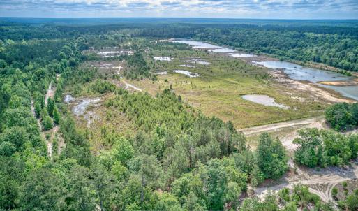 Photo #24 of 1554 Josey Williams Road , Erwin, NC 57.4 acres