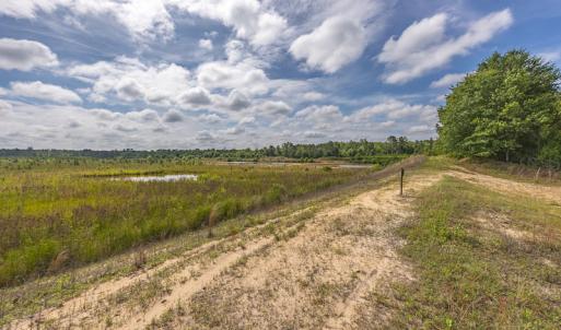 Photo #25 of 1554 Josey Williams Road , Erwin, NC 57.4 acres