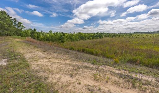 Photo #26 of 1554 Josey Williams Road , Erwin, NC 57.4 acres