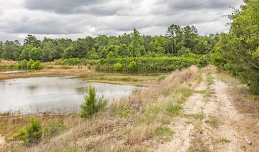 Photo #27 of 1554 Josey Williams Road , Erwin, NC 57.4 acres