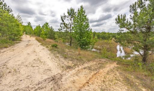 Photo #29 of 1554 Josey Williams Road , Erwin, NC 57.4 acres