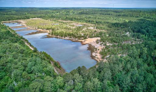 Photo #3 of 1554 Josey Williams Road , Erwin, NC 57.4 acres