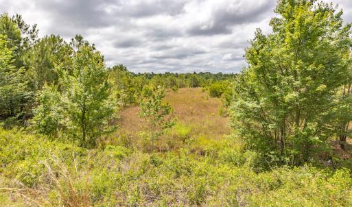 Photo #31 of 1554 Josey Williams Road , Erwin, NC 57.4 acres