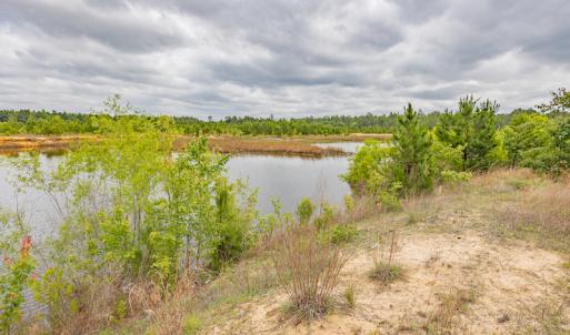 Photo #32 of 1554 Josey Williams Road , Erwin, NC 57.4 acres