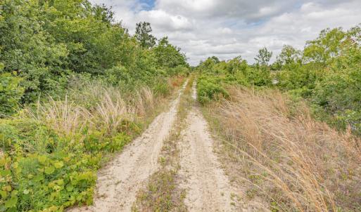 Photo #33 of 1554 Josey Williams Road , Erwin, NC 57.4 acres