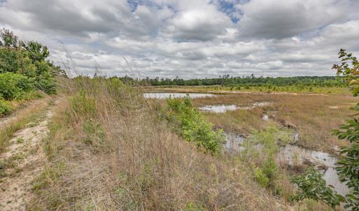 Photo #34 of 1554 Josey Williams Road , Erwin, NC 57.4 acres