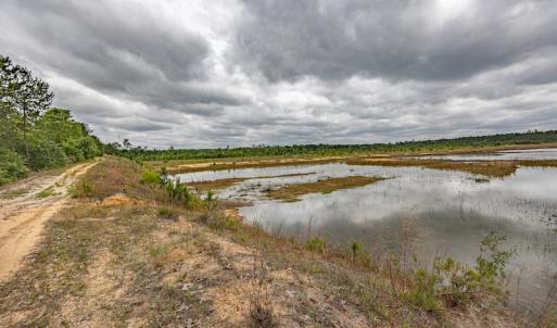 Photo #35 of 1554 Josey Williams Road , Erwin, NC 57.4 acres