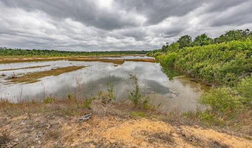 Photo #36 of 1554 Josey Williams Road , Erwin, NC 57.4 acres