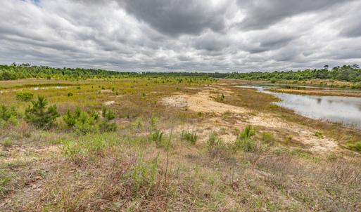 Photo #37 of 1554 Josey Williams Road , Erwin, NC 57.4 acres