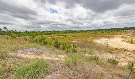 Photo #38 of 1554 Josey Williams Road , Erwin, NC 57.4 acres