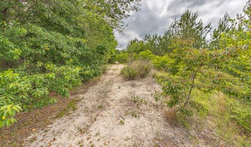 Photo #39 of 1554 Josey Williams Road , Erwin, NC 57.4 acres
